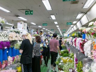江南高速公交客运站花市