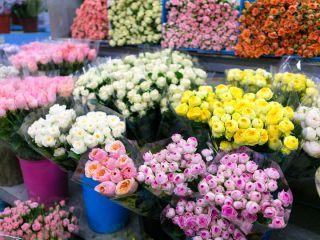 在这里可以购买到各种鲜花