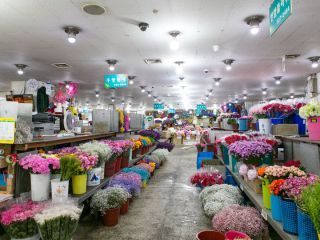 首尔江南高速客运站旁大楼里的花市