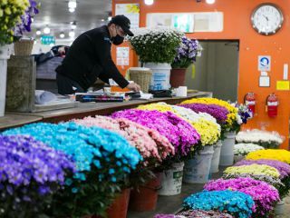 鲜花市场