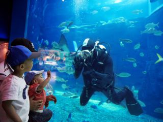 ※照片提供：全罗南道观光财团