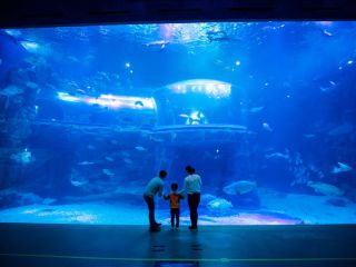 ※照片提供：全罗南道观光财团