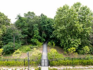 穿过天桥，岛的东边是一片小森林