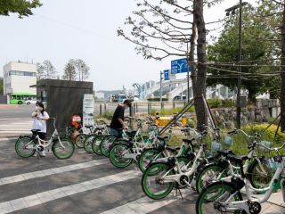 很多当地人选择骑自行车前往