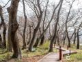 园艺艺术村※照片提供：韩国旅游发展局