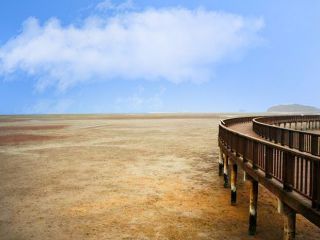 ※照片提供：韩国旅游发展局