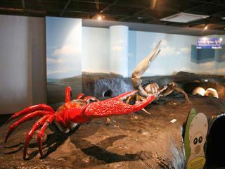 ※照片提供：韩国旅游发展局