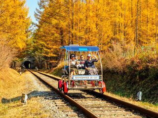 ※照片提供：江原道经济振兴院