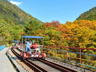 ※照片提供：江原道经济振兴院