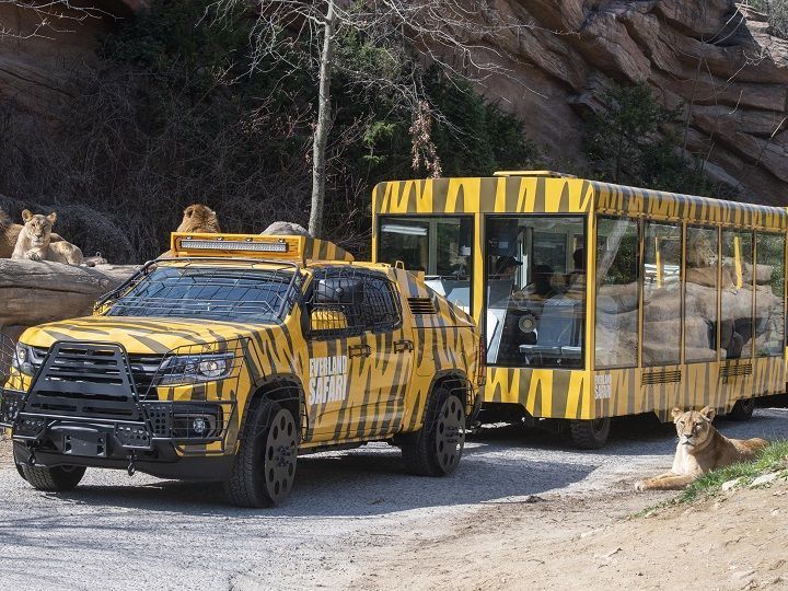 野生動物世界(Safari World)觀察野生動物的好機會