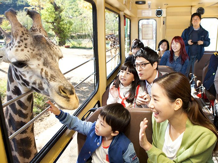 遺失的峽谷(Lost Valley)乘坐愛寶樂園水陸兩用車近距離接觸可愛的動物