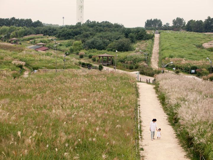 天空公园的紫芒与波斯菊非常有名,也是欣赏落日的绝佳场所
站点编号:2