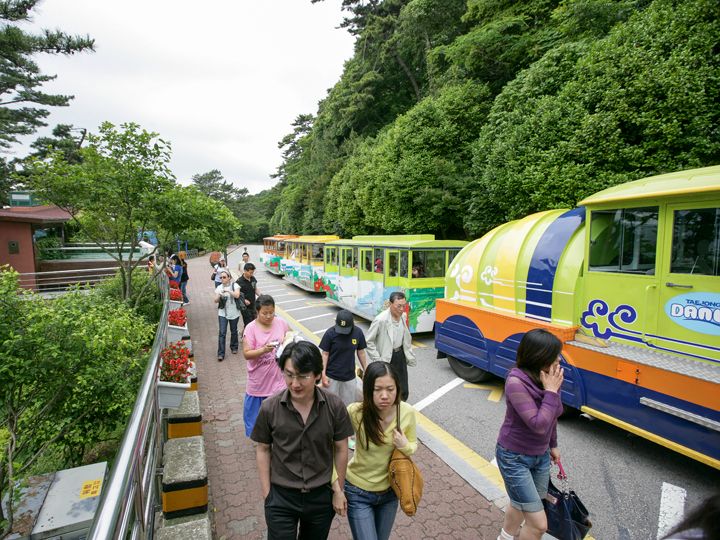 绚丽多彩的观光车