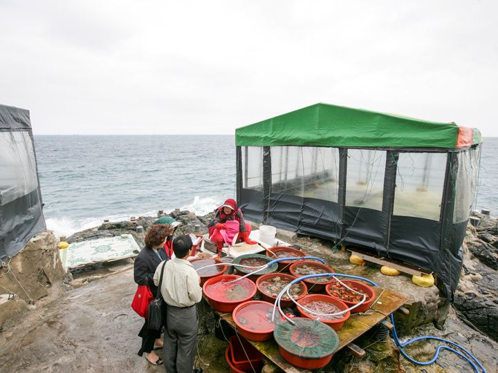 位于海滨的小餐馆