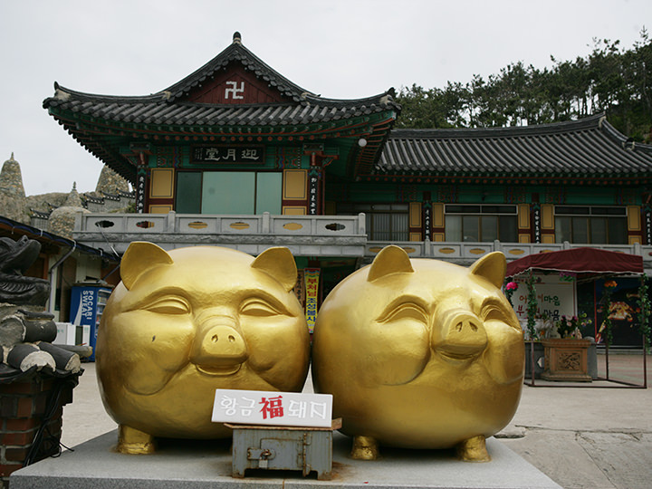 象征福报的黄金猪