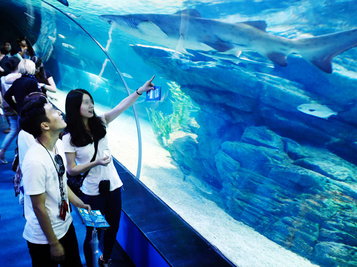 Sea Life釜山水族馆 韩国景点推荐 韩国旅游网 韩巢网 Sea Life釜山水族馆 韩国景点推荐 韩国旅游网 韩巢网