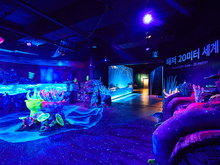 sealife釜山水族馆