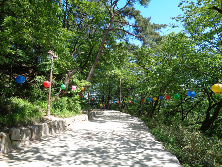 约走1公里左右的林荫路