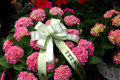 比花更夺人眼球的大型包装带