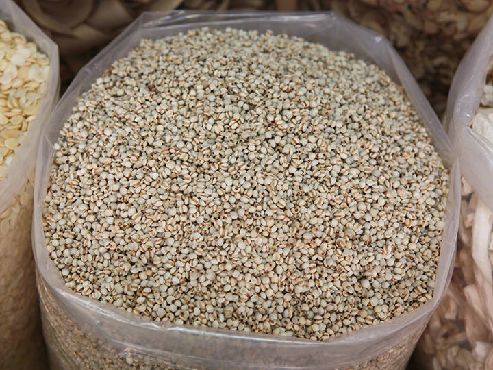 薏苡
600g 9,000韩元~