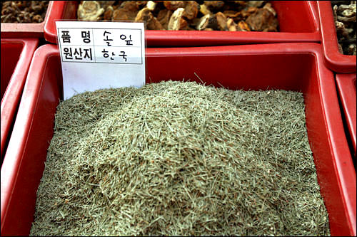 松树叶
600g 5,000韩元~