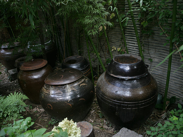 在坛子里放入材料制作野生植物精制酱