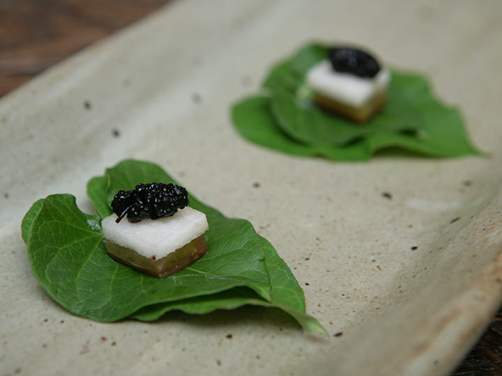 包菜(二)
竹笋、西红柿、桑葚小块叠起来包在牵牛花叶里,适合清口的一品菜