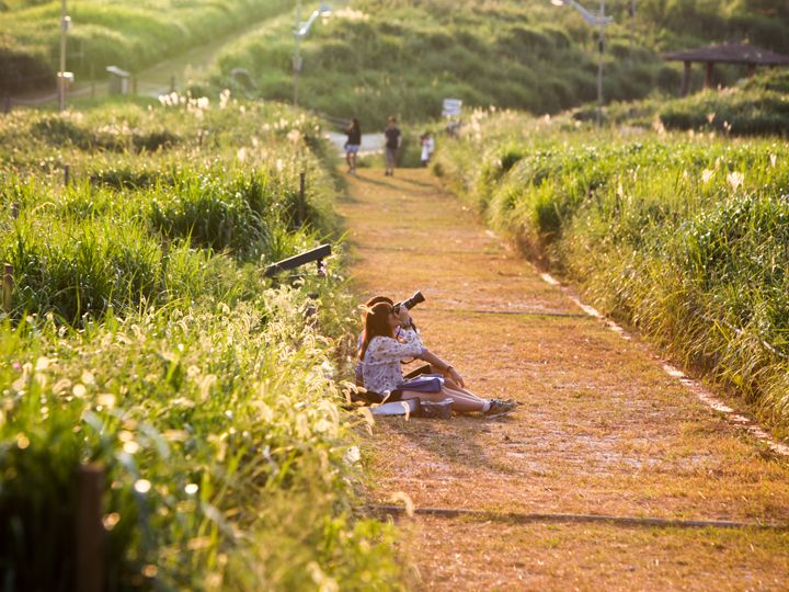 在天空公园漫步的市民
