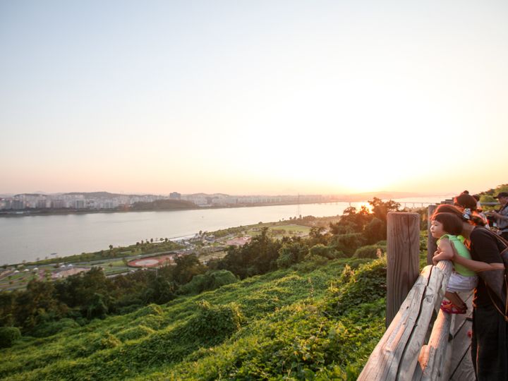 梦幻的紫芒庆典