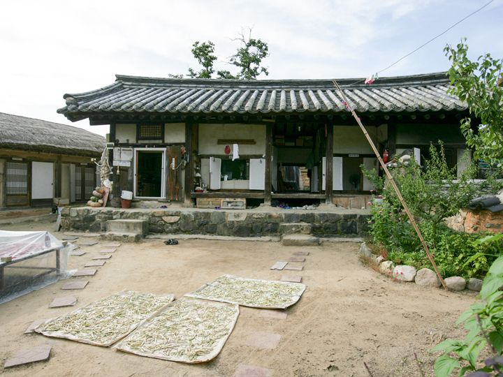 柳时柱的家
照片右边能看见的那堵墙是用来分隔男女空间的