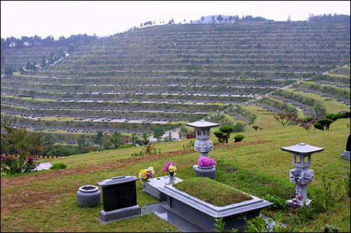 这是韩国的坟墓,这座山就算是墓园。韩国大多实行土葬。