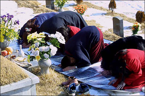 在坟墓上撒酒,再次向祖先问候