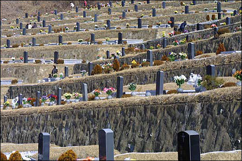 听说这里有很多在外韩国人的坟墓