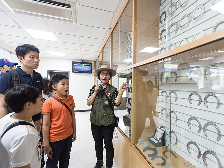 “马蹄诊所”里展示的各种马蹄