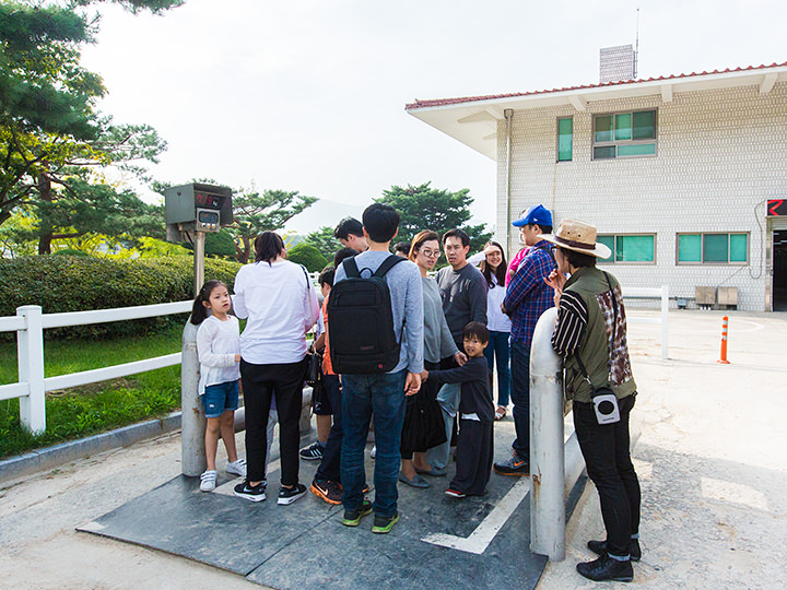 “马医院”前的巨型体重计,平均一匹马的体重为500kg