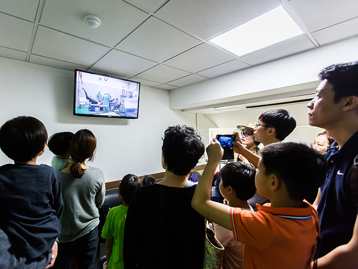 可通过影像观看马手术过程