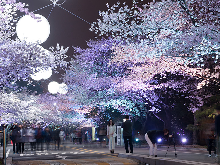 ※图片由华克山庄CCC.提供