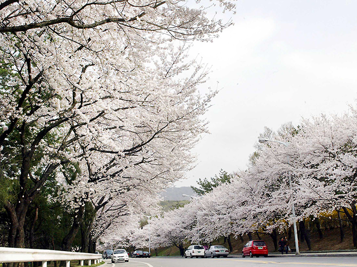 ※图片由华克山庄CCC.提供