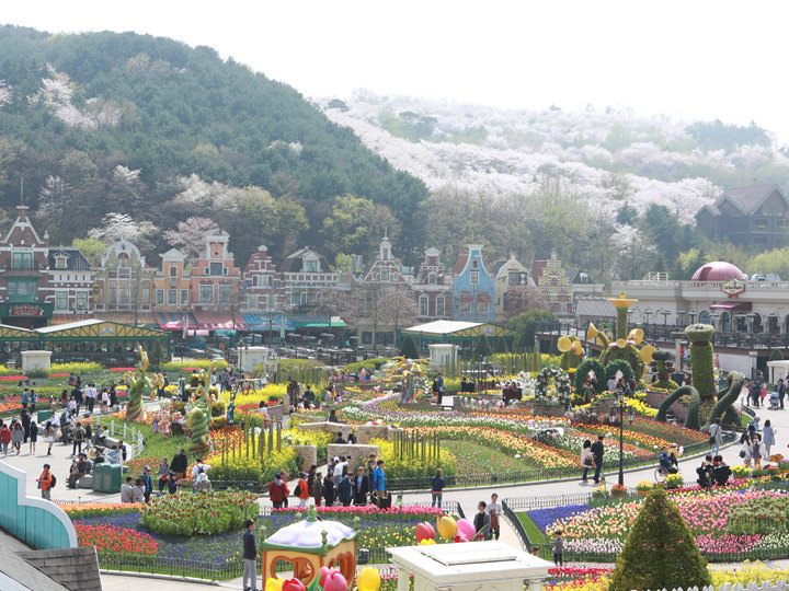 面积广阔的爱宝乐园