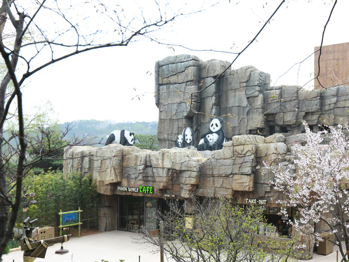 熊猫世界入口