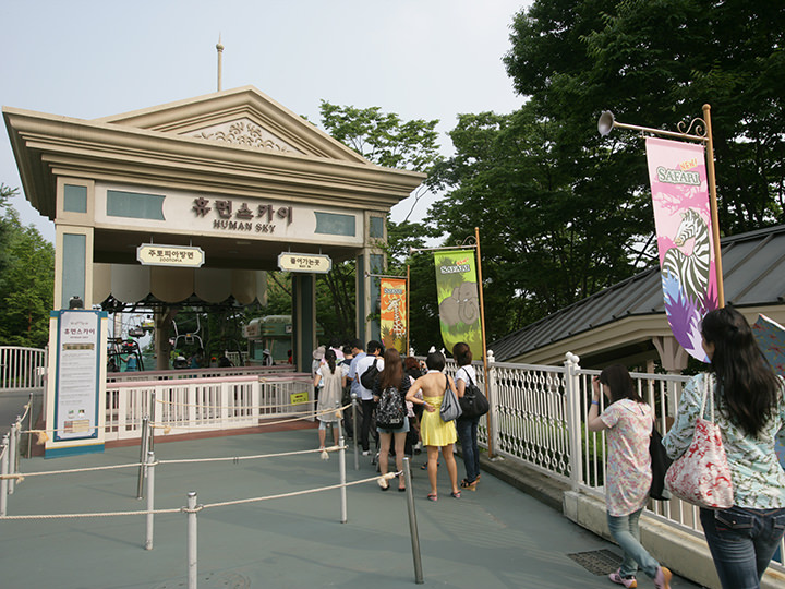 缆车可以免费使用