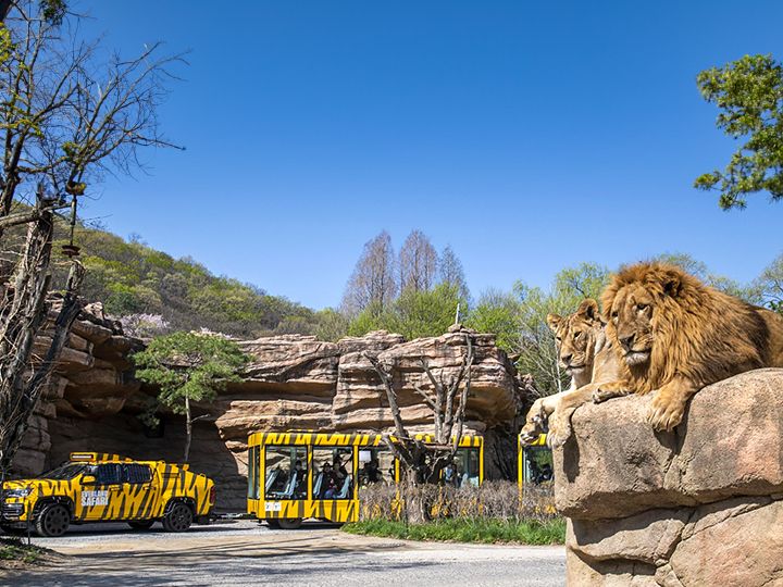 1.动物园 Zootopia