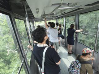 在缆车内可以通过透明窗欣赏南山美景