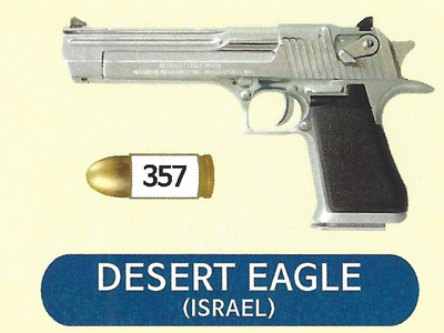 DESERT EAGLE
口径:357马格纳姆子弹
制造国:以色列
10发 50,000韩元