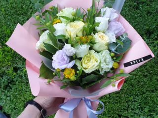 照片提供：erica