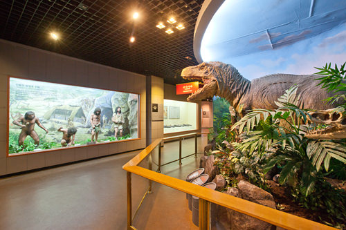 入馆后接着就可以看到的极具震撼力的恐龙模型