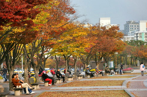 欣赏秋叶的名所