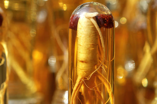 高丽人参百货
(地图 : 绿色 11)
从未加工过的生人参到红参茶,到人参提取物以及人参胶囊,关于人参的一切产品都可以在这里找到。