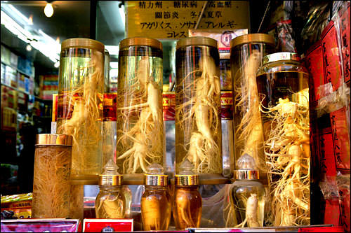 人参店
(地图 : 蓝色 2)
以经营高丽人参及各种人参制品和干海货生意为主的商店。