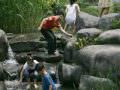 人工溪水，城市中的绿洲“传统公园区”